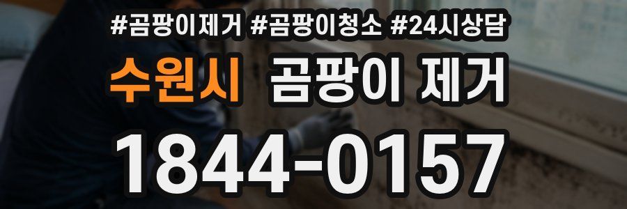 수원시 곰팡이 제거