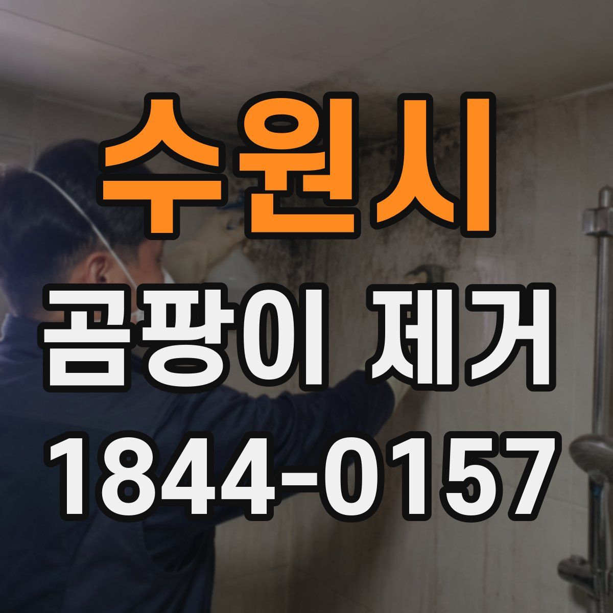 수원시 곰팡이 제거