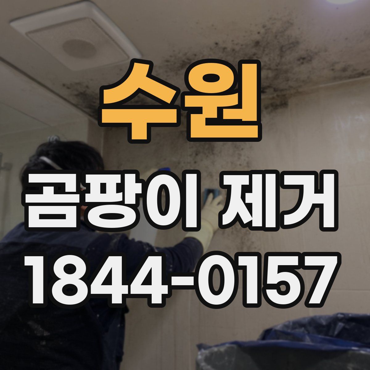 수원 곰팡이 제거