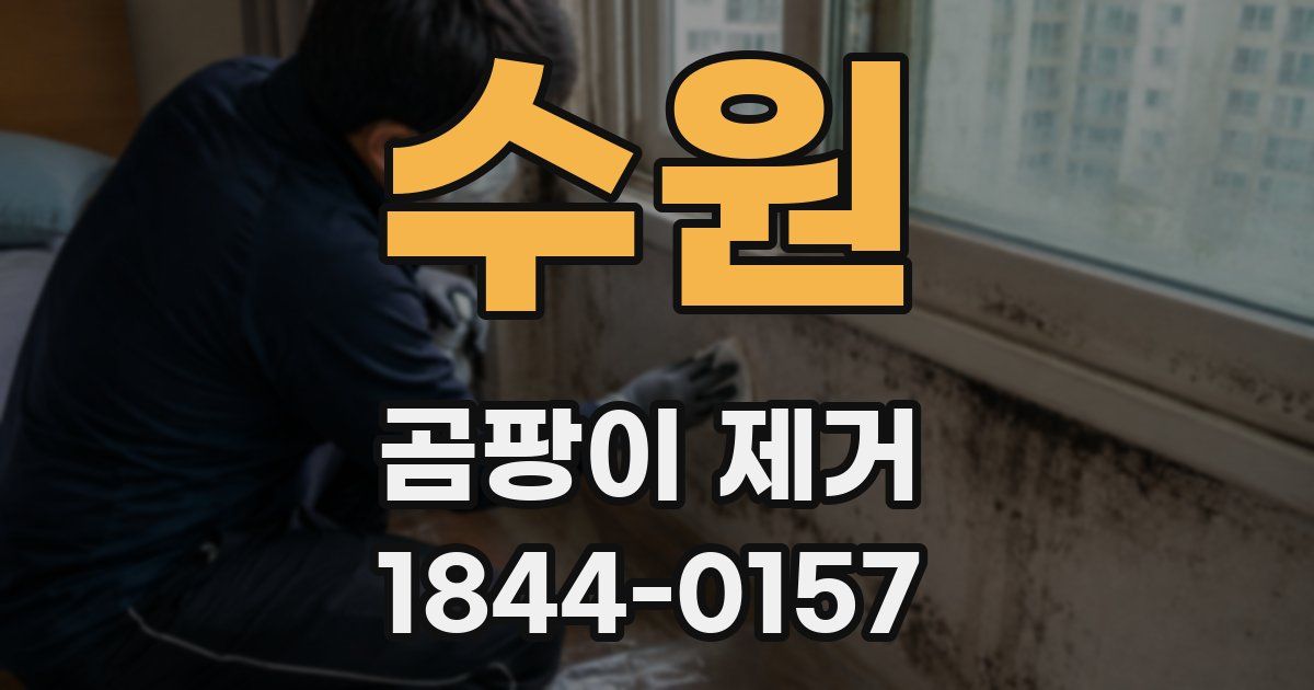 수원 곰팡이 제거