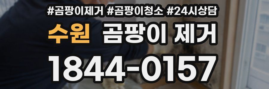 수원 곰팡이 제거