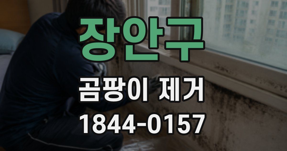 장안구 곰팡이 제거