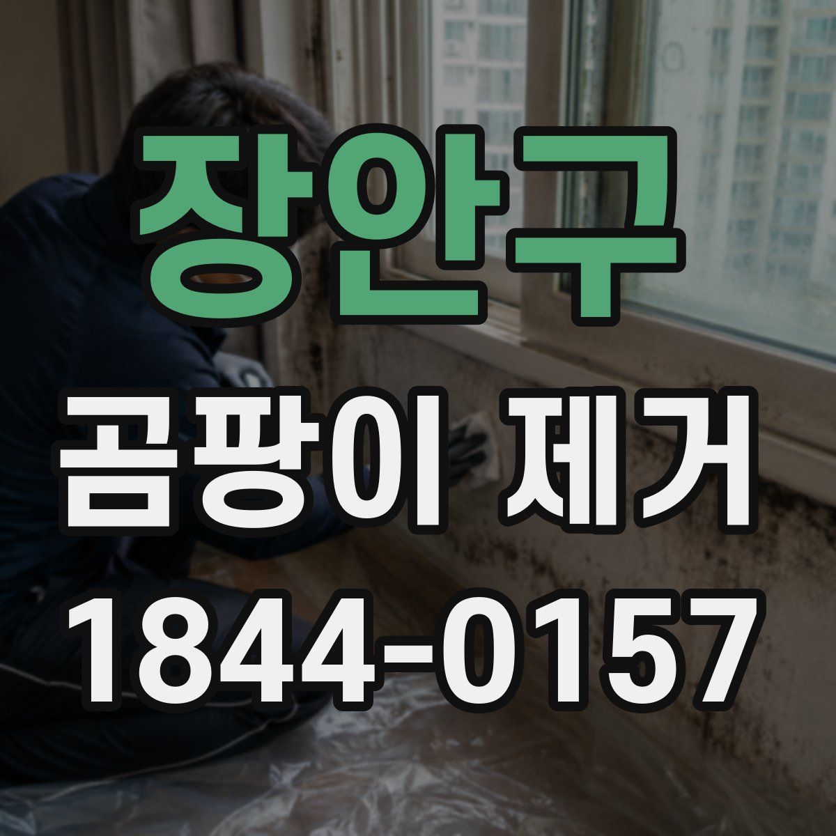 장안구 곰팡이 제거