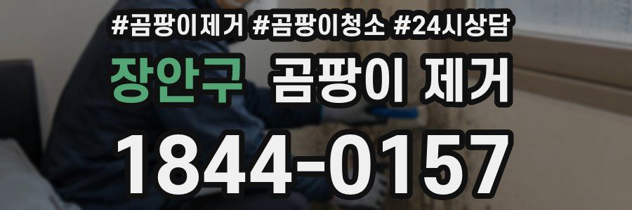 장안구 곰팡이 제거