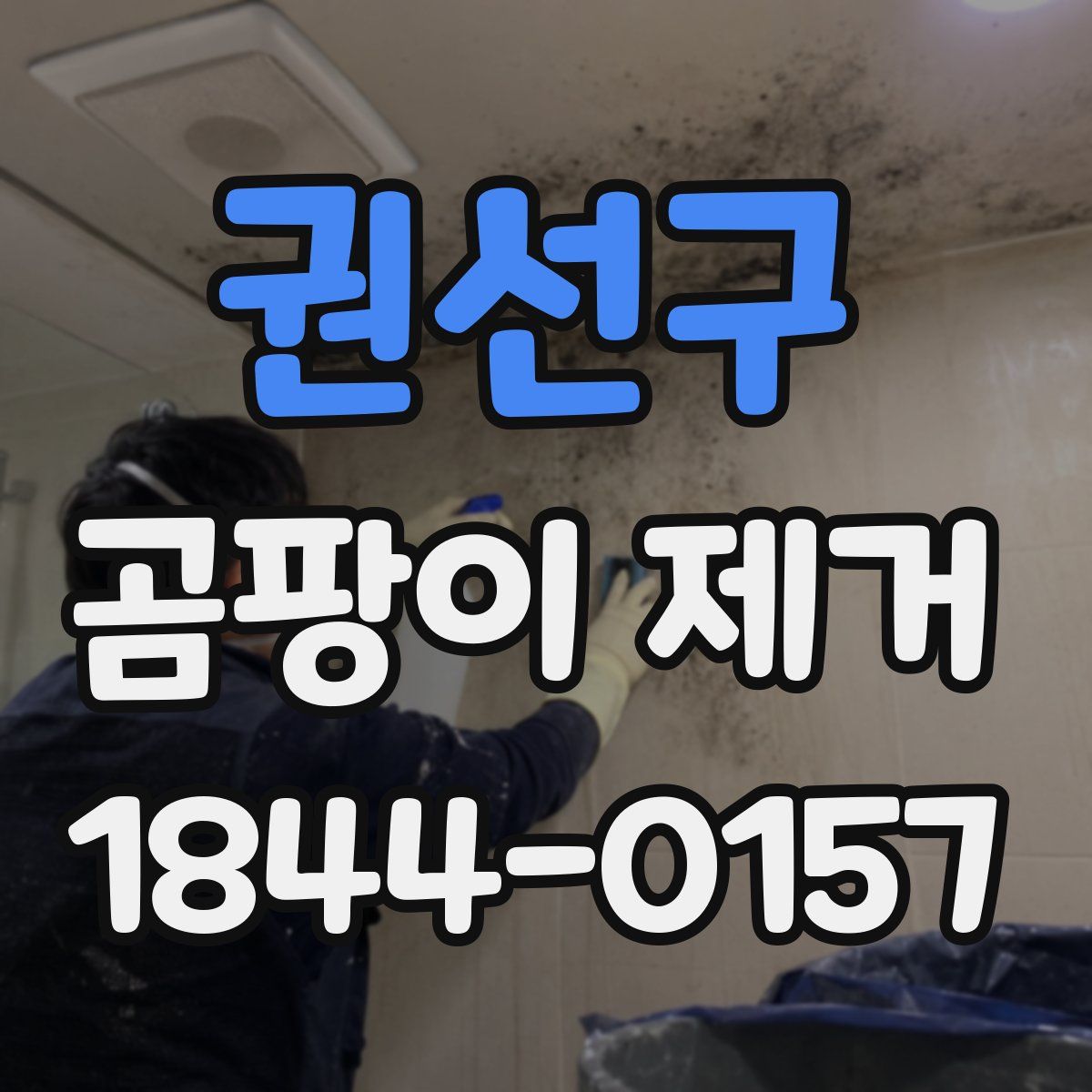 권선구 곰팡이 제거