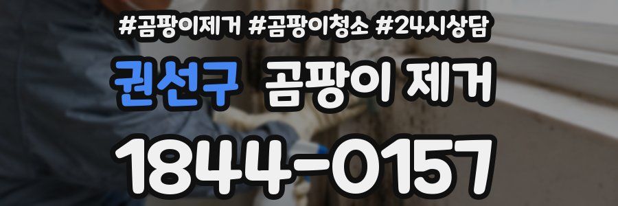 권선구 곰팡이 제거
