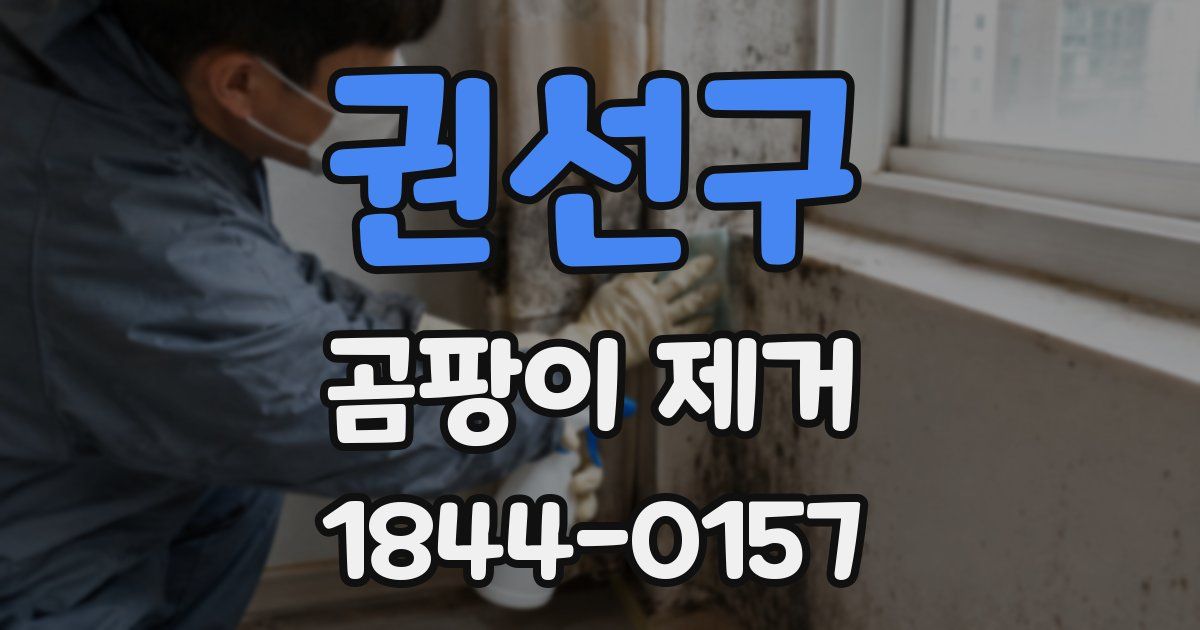 권선구 곰팡이 제거