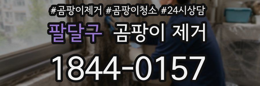 팔달구 곰팡이 제거