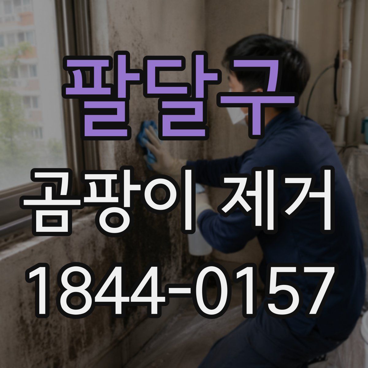 팔달구 곰팡이 제거