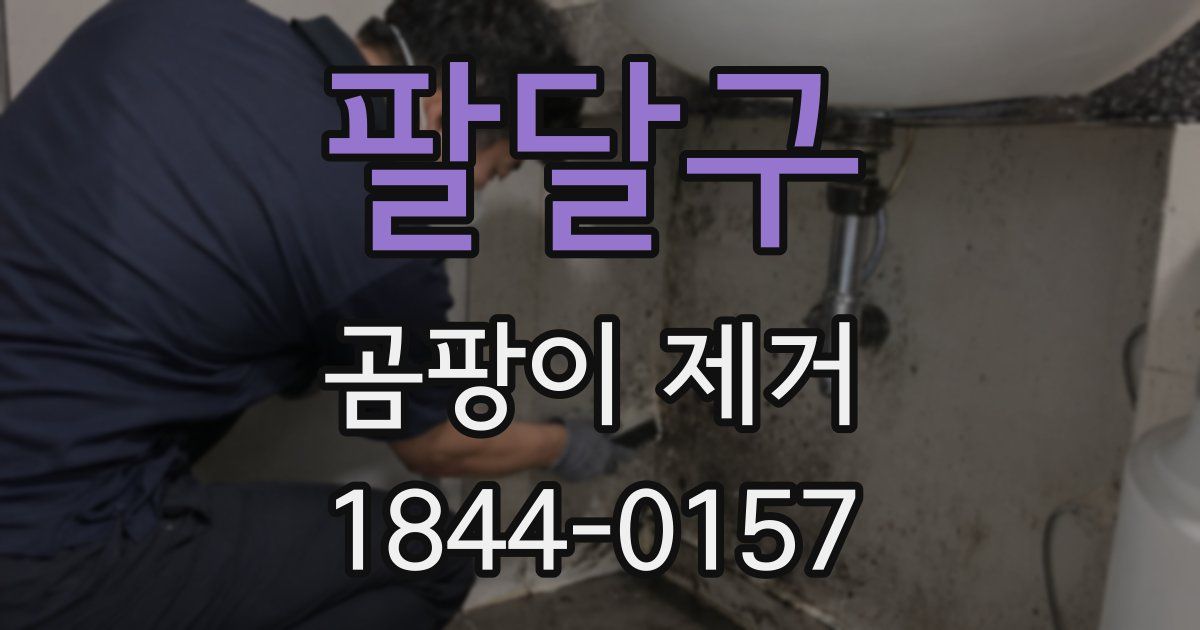 팔달구 곰팡이 제거