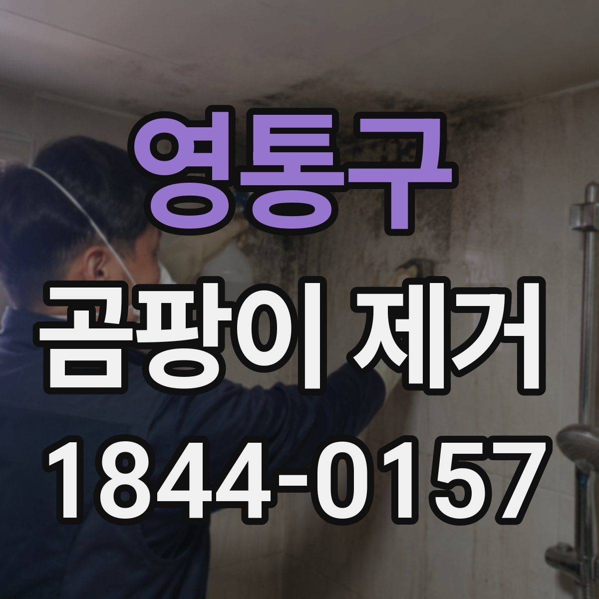 영통구 곰팡이 제거 결로·습기 많은 집에서 먼저 볼 것