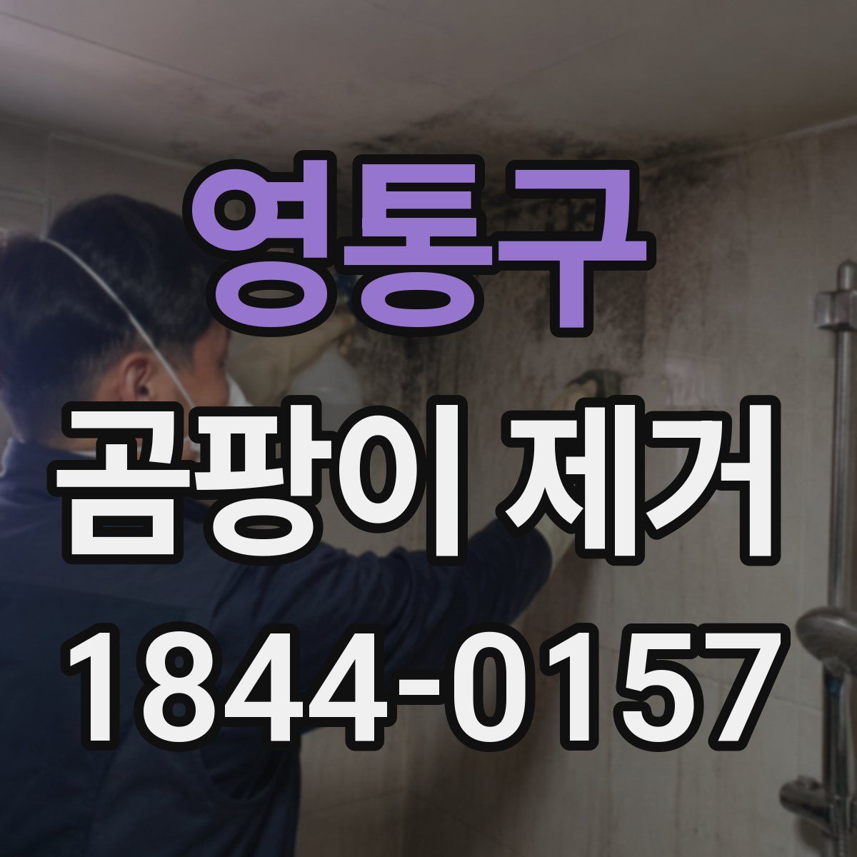 영통구 곰팡이 제거