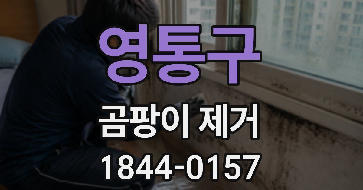 영통구 곰팡이 제거