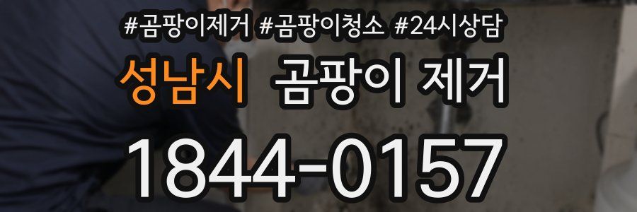 성남시 곰팡이 제거