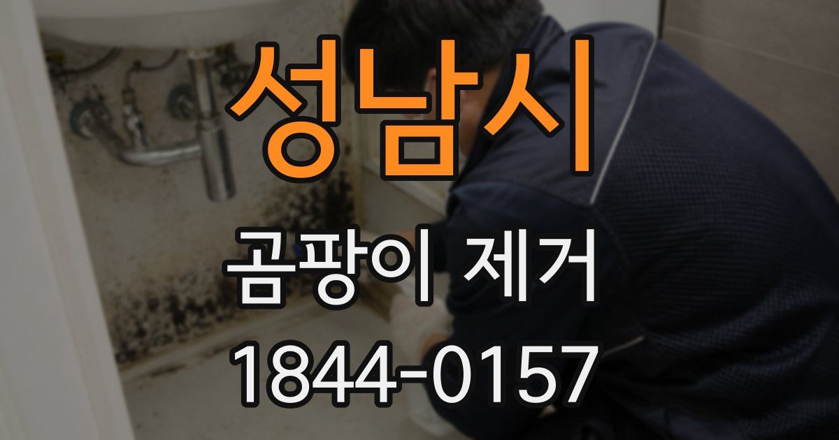 성남시 곰팡이 제거