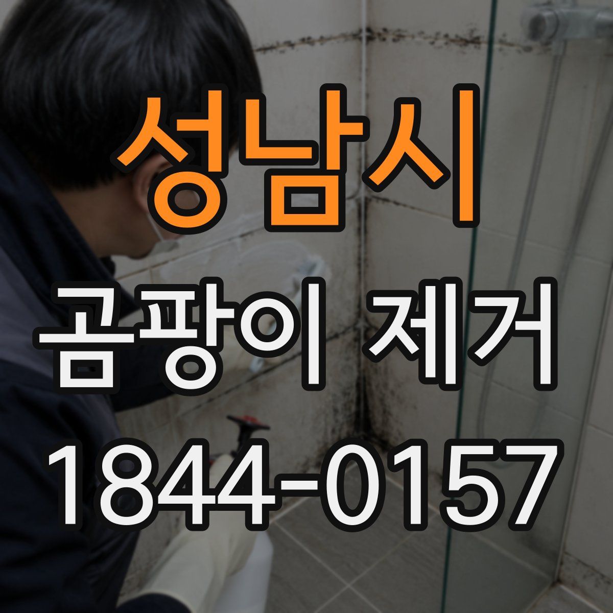 성남시 곰팡이 제거