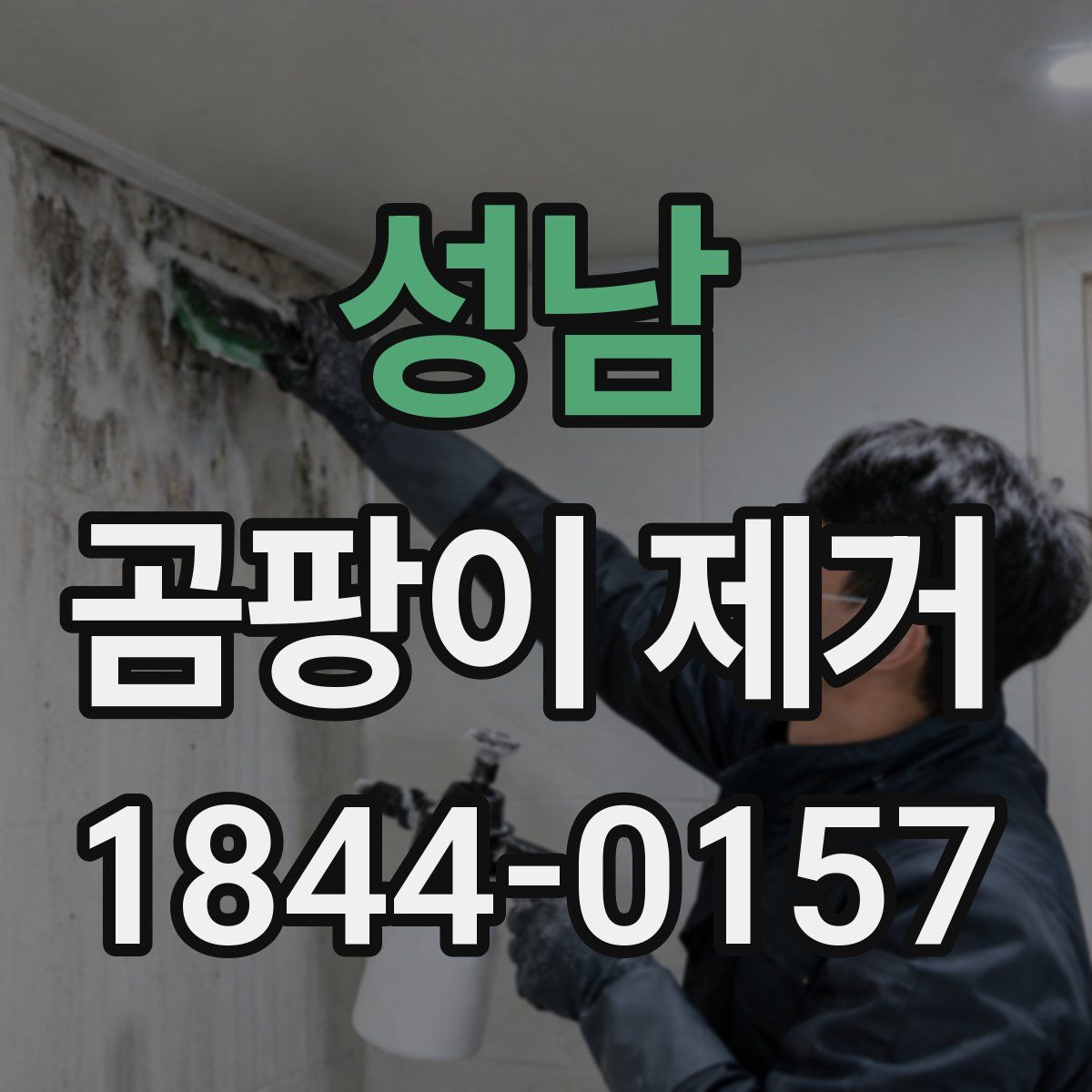 성남 곰팡이 제거