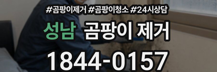 성남 곰팡이 제거
