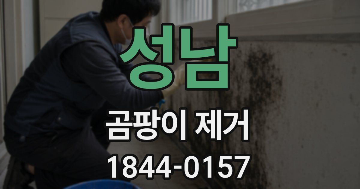 성남 곰팡이 제거