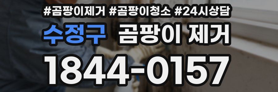 수정구 곰팡이 제거