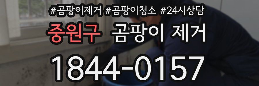 중원구 곰팡이 제거