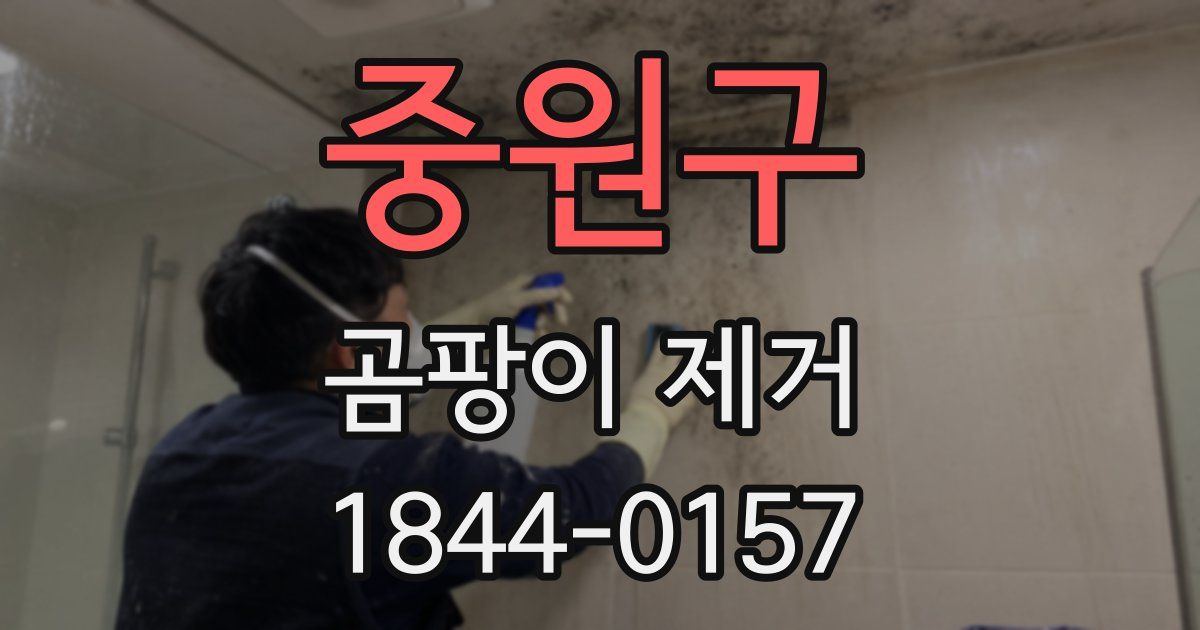 중원구 곰팡이 제거