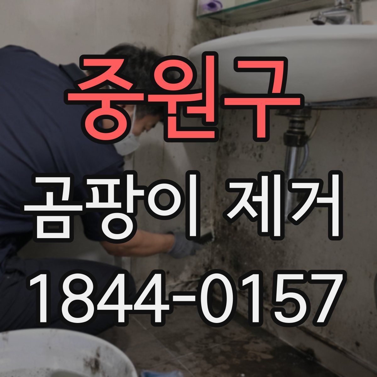 중원구 곰팡이 제거
