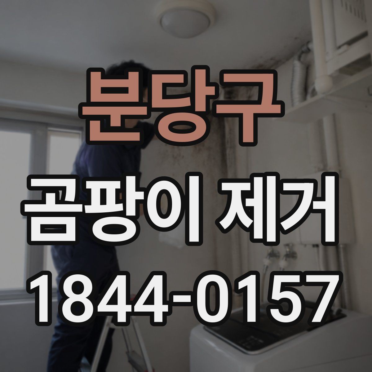 분당구 곰팡이 제거 오피스텔 수납장 안쪽까지 점검하기
