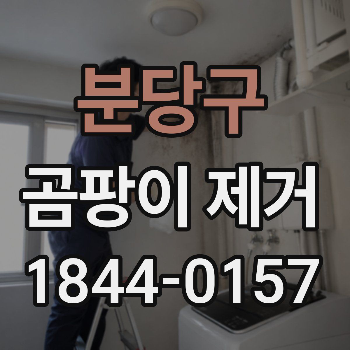 분당구 곰팡이 제거