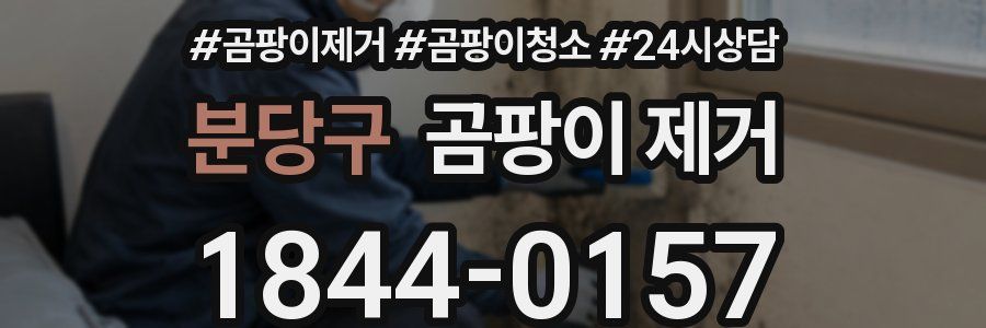 분당구 곰팡이 제거