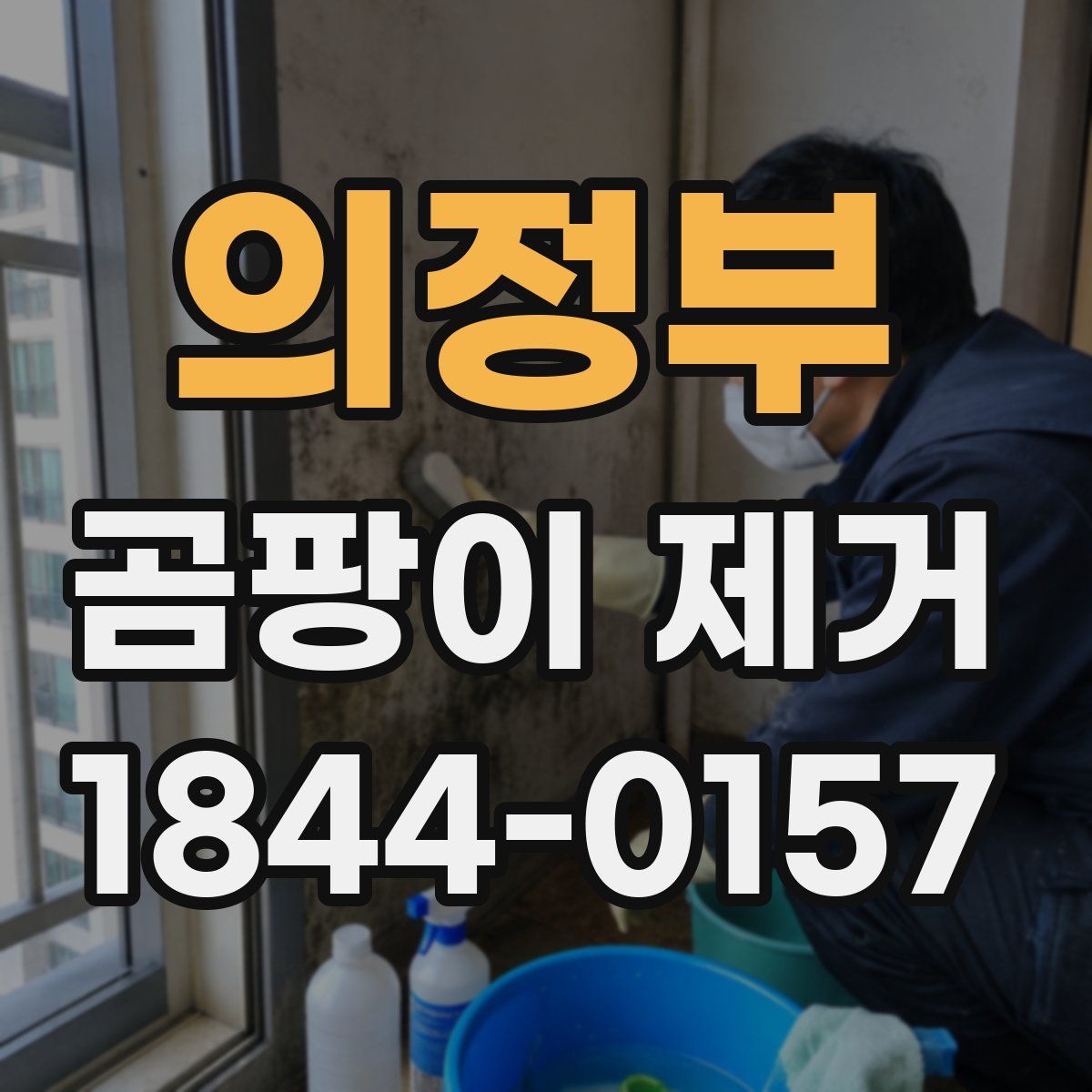 의정부 곰팡이 제거