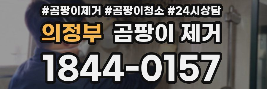 의정부 곰팡이 제거