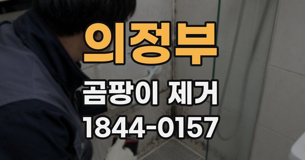 의정부 곰팡이 제거