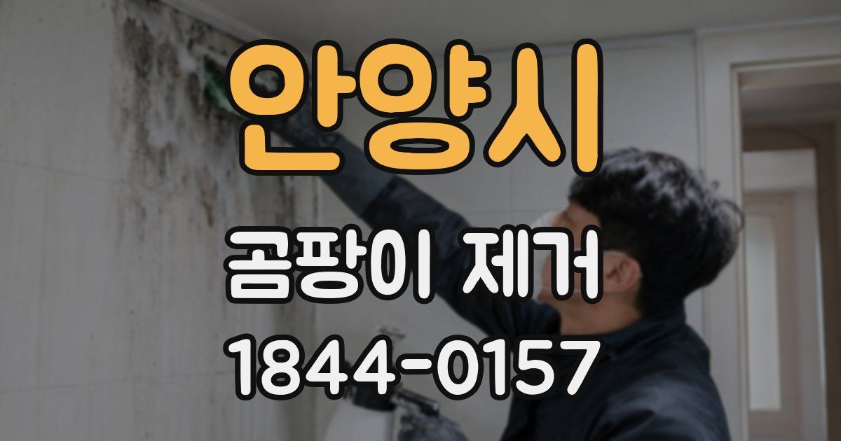 안양시 곰팡이 제거