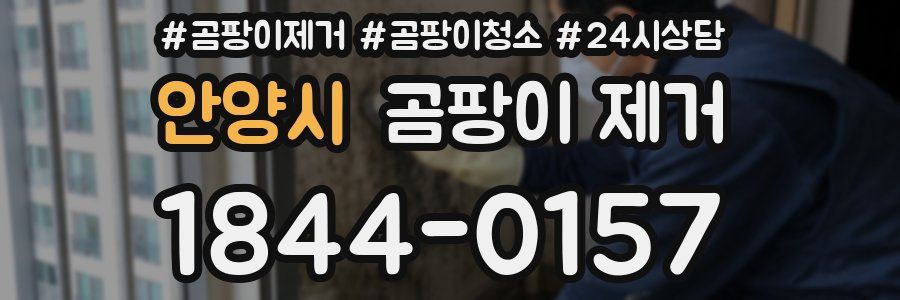 안양시 곰팡이 제거
