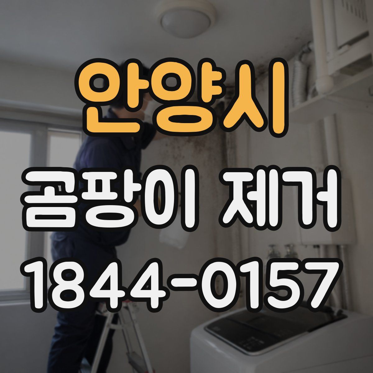 안양시 곰팡이 제거