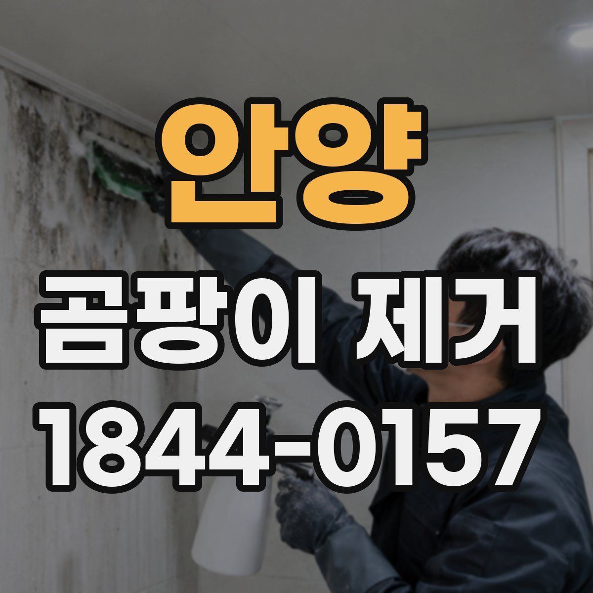 안양 곰팡이 제거