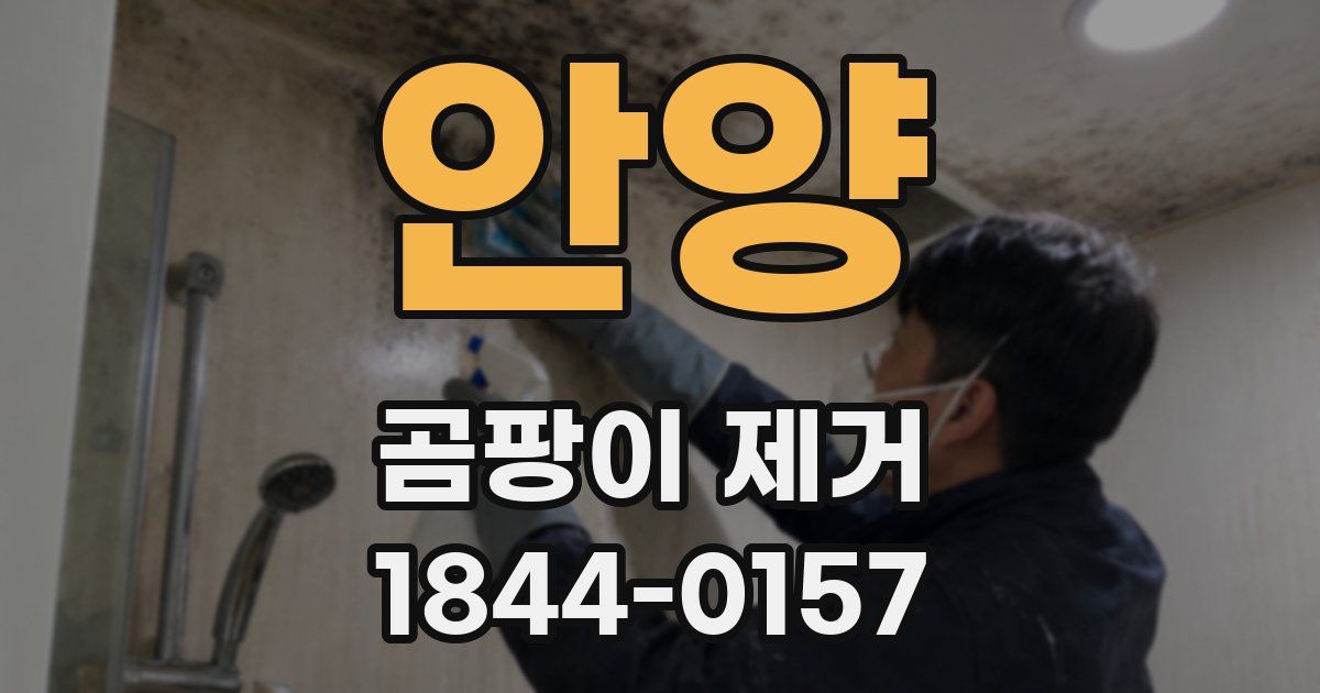 안양 곰팡이 제거