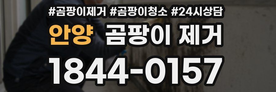 안양 곰팡이 제거