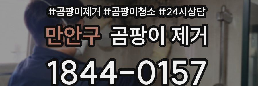 만안구 곰팡이 제거