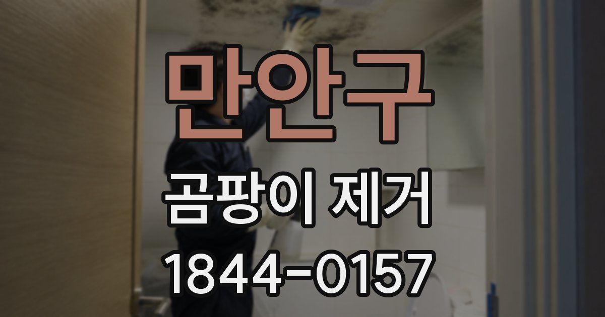 만안구 곰팡이 제거
