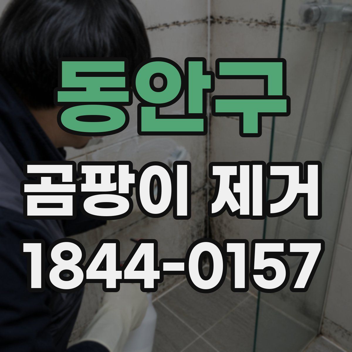 동안구 곰팡이 제거