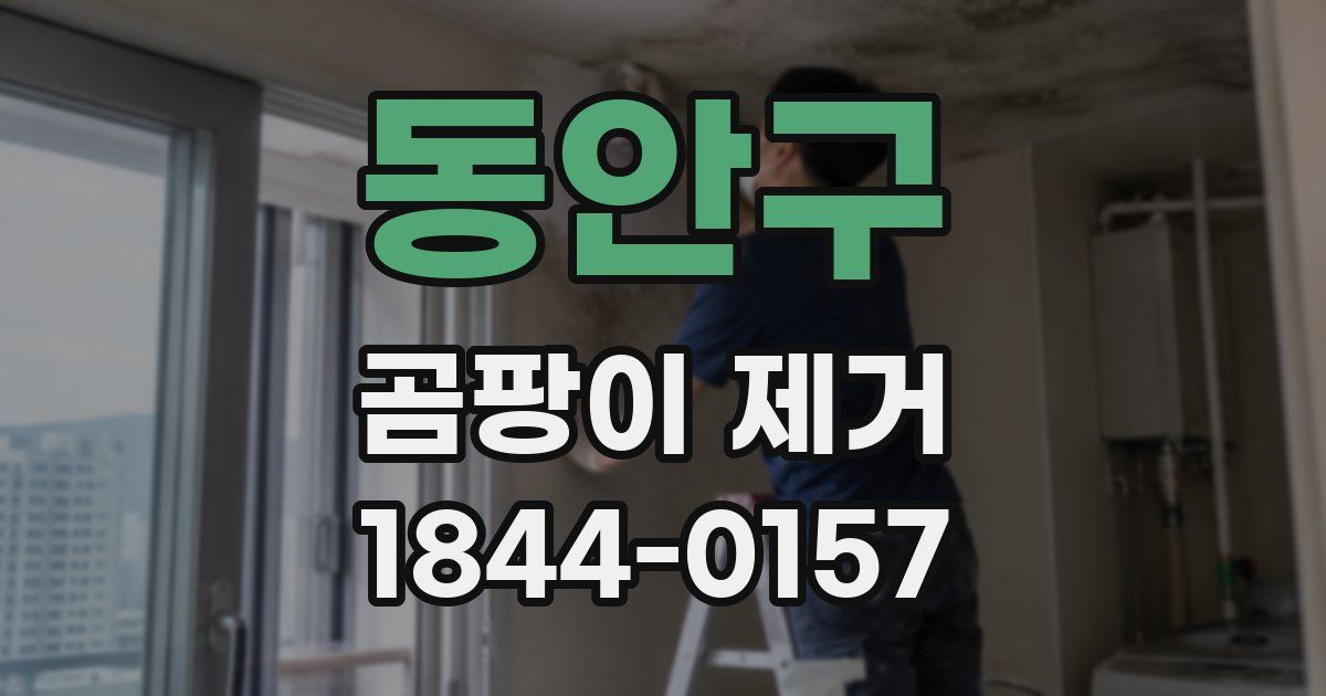 동안구 곰팡이 제거