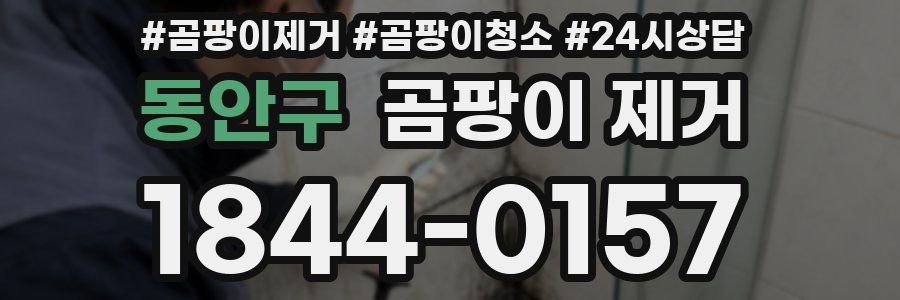 동안구 곰팡이 제거