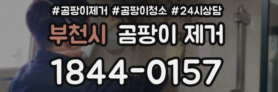 부천시 곰팡이 제거