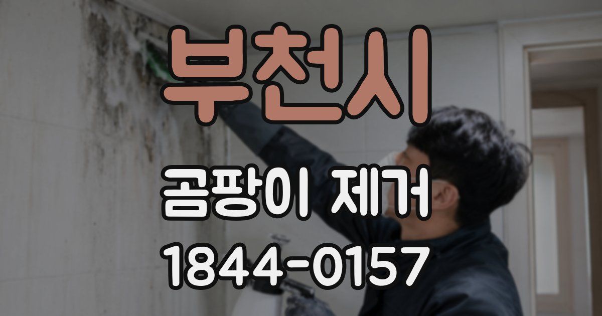 부천시 곰팡이 제거