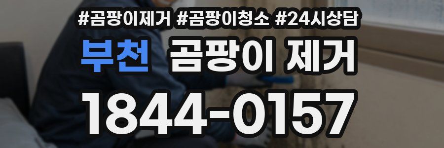 부천 곰팡이 제거