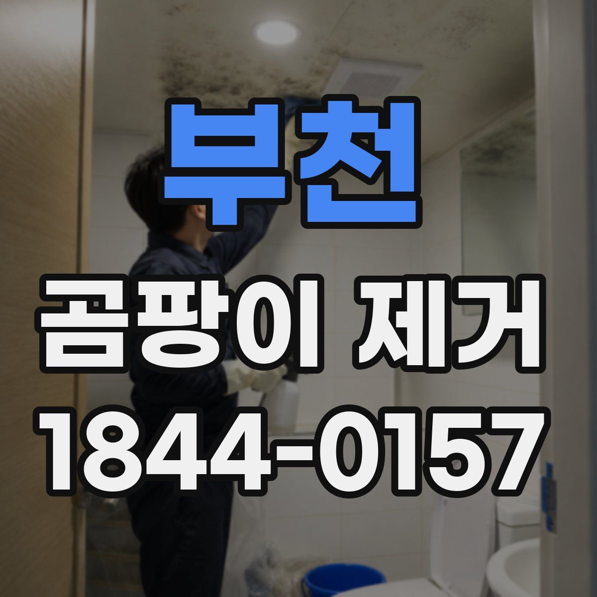 부천 곰팡이 제거