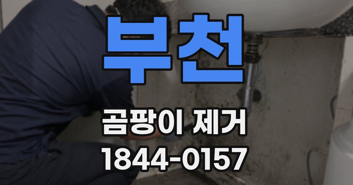 부천 곰팡이 제거