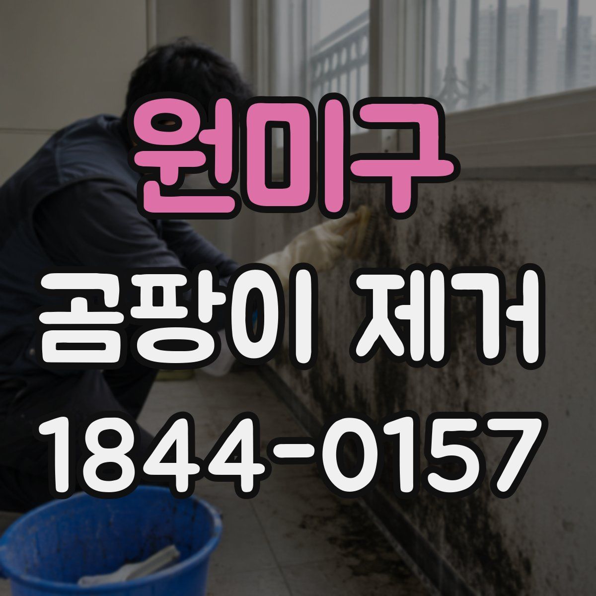 원미구 곰팡이 제거